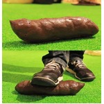 芝生に散らばる茶色い&ldquo;アレ&rdquo;、投げてつついて踏んで遊ぶおもちゃ。