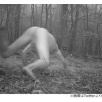 森の野生動物監視カメラ、謎の全裸男写り騒然