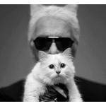 カール・ラガーフェルドの遺産220億円、愛猫が相続か