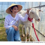 &ldquo;恋敵&rdquo;役多かった相武紗季、千鳥・大悟「取って欲しかったもんよ、みんな」