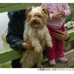 飼い犬をマイナス30度の空港に置き去り死