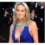 シャロン・ストーンが&ldquo;恋人探し&rdquo;前向きに