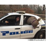ロバを&ldquo;逮捕&rdquo;パトカーで連行、後部座席で排泄始めてしまい警官後悔。