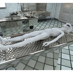 アインシュタイン、&ldquo;宇宙人の死体&rdquo;を見ていた？