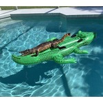 &ldquo;ワニのフロート&rdquo;に乗っているワニ