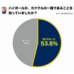 「ハイボールはカクテル」半数以上が認識せず