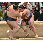 藤凌駕の押し出し