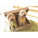 「ZIP!」ジジ＆ププ初の写真集、カワイイ撮り下ろしたっぷり100点以上。