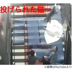 &ldquo;猫放り投げる&rdquo;芸術に猛批判、YouTubeに動画公開で世界中から非難。