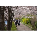 &ldquo;街の魅力&rdquo;どこで判断する？ トップは過半数支持の「交通の利便性」。