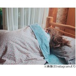 ベッキーがローラの寝姿を盗撮「寝てる時も素敵なポージング」。