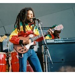 犬は&ldquo;レゲエ音楽好き&rdquo;だった