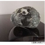 &ldquo;パンダにしか見えない模様の石&rdquo;発見される