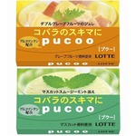 &ldquo;コバラ紛らわす&rdquo;ためのガム、ロッテが新ジャンルの「プクー」。