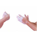 &ldquo;抗菌せっけん&rdquo;などにご用心、アレルギーが発現しやすくなる恐れ。