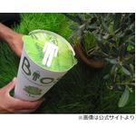 &ldquo;死者が木に変わる&rdquo;骨壺考案、生物分解される素材でそのまま土に帰る。