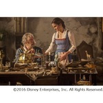 実写映画「美女と野獣」ベルの姿を初公開