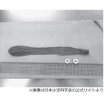 ジェット風船で子供誤飲事故、日本小児科学会が製品改善検討を提言。