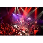 「1人でコンサート」は27.6％、男女とも3割以上が1年に1回以上行く。