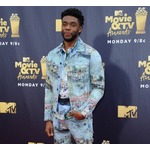 &ldquo;ブラックパンサー&rdquo;俳優、信長に仕えた黒人侍役