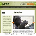 マイケル元ペット&ldquo;バブルスくん&rdquo;の絵が競売に