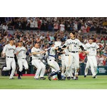 地上波なし、ネトフリ独占＝リスク覚悟の挑戦―ＷＢＣ