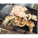 &ldquo;珍肉バーベキュー&rdquo;って何だ、手ぶらで変わったお肉を体験してきた。