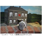 性豪モルモットが100匹種付け、メスの囲いで発見時「少し痩せていた」。