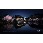 &ldquo;京都の桜&rdquo;がテーマの60秒CM、JR東海「そうだ京都、行こう。」。