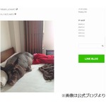 &ldquo;愛豚家&rdquo;前園は豚肉抵抗なし、食べられる？ に「ガンガン食べます」。