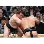 安青錦、奇襲に動じず＝英気養い、地に足つけて―大相撲春場所