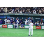 コールド負けの台湾　野球