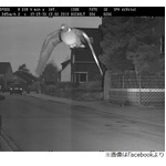 &ldquo;スピード違反のハト&rdquo;に罰金