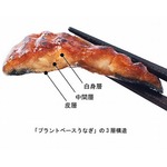 日清食品「プラントベースうなぎ」開発に成功、蒲焼きを再現