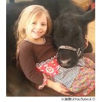 5歳少女が家に連れてきた○○、母親の&ldquo;尋問&rdquo;にもおとぼけ「えっとー」。