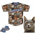 &ldquo;にゃんこユニ&rdquo;で野球公式戦、試合当日は猫同伴OK＆里親募集も。