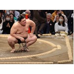 大の里が３連敗