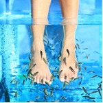 &ldquo;ドクターフィッシュ&rdquo;に警鐘、尿道突入事例が英会議で話題に。