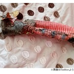 「家に危険なトカゲが！」駆けつけると&hellip;