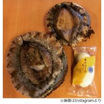 綾小路翔&ldquo;アワビとばな奈&rdquo;写真にツッコミ、鈴木砂羽も「ああーん」。