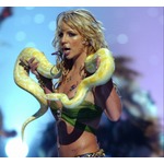 ブリトニー・スピアーズ、&ldquo;小道具&rdquo;のヘビに「殺されるかと思った」