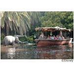 TDLジャングルクルーズ一新へ、2014年秋にリニューアルオープン。