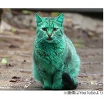 鮮やかなグリーンのにゃんこ、不自然すぎるカラーに虐待疑う声も。