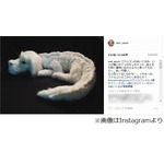 PUFFY亜美&ldquo;ファルコン&rdquo;捜索、ぬいぐるみに関する情報提供呼びかけ。