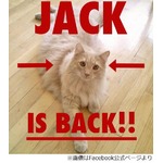 8月に米空港で姿消した猫発見、飼い主のFacebookでの活動が実を結ぶ。