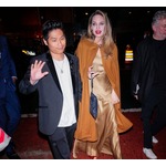 &ldquo;半年前に事故で入院&rdquo;アンジェリーナ・ジョリーの息子、手放し運転でまた事故