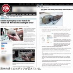 &ldquo;顔のない魚&rdquo;発見され騒然、過去に1度記録