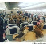 飛行機に乗った&ldquo;珍客&rdquo;が話題に