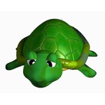 パンツにカメ隠し機内持ち込み、祖母の指示に逆らい8歳少年がこっそり。