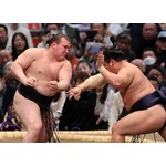 安青錦、連敗免れ２勝目